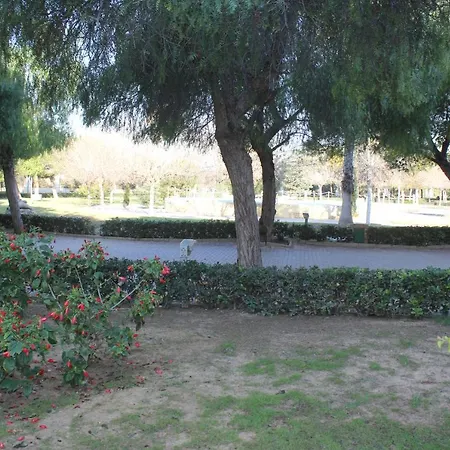 Appartamento Apartamento Suecia Torrevieja